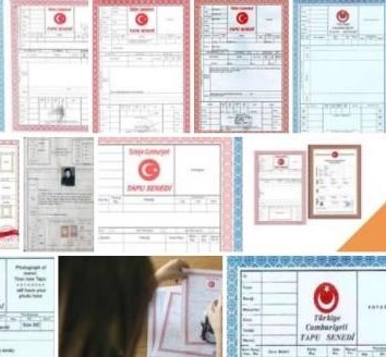 tapuda artık fotoğraf yok